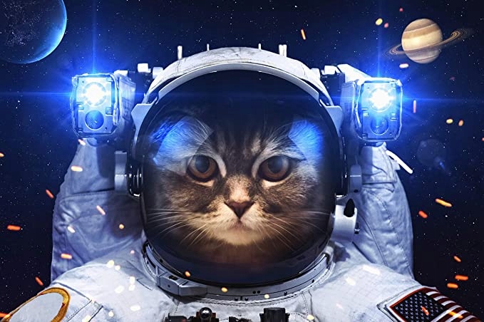 

Puzzle 1000 Szt Kot Astronauta Kosmos 69 X 51 CM