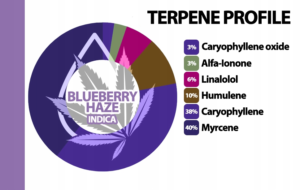 Naturalne terpeny konopne | BLUEBERRY| 10ml EAN (GTIN) 8037735340691