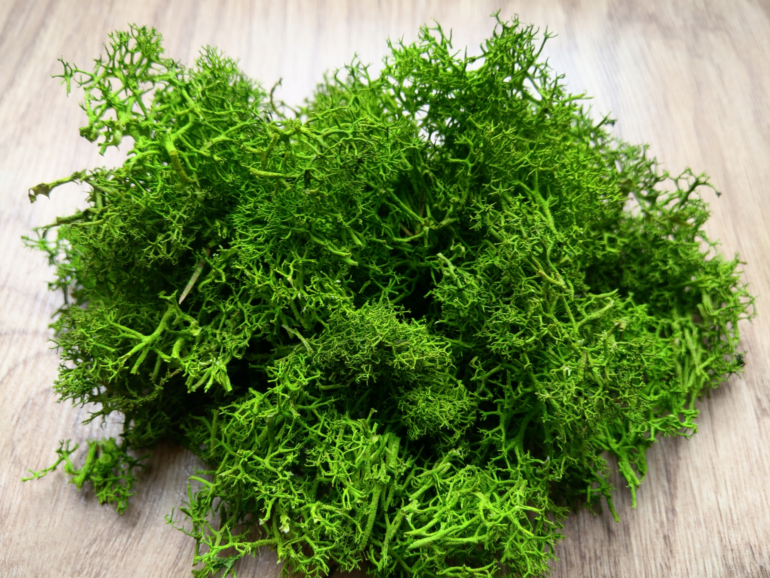 

Mech dekoracyjny Chrobotek ściółka odpad 100g.