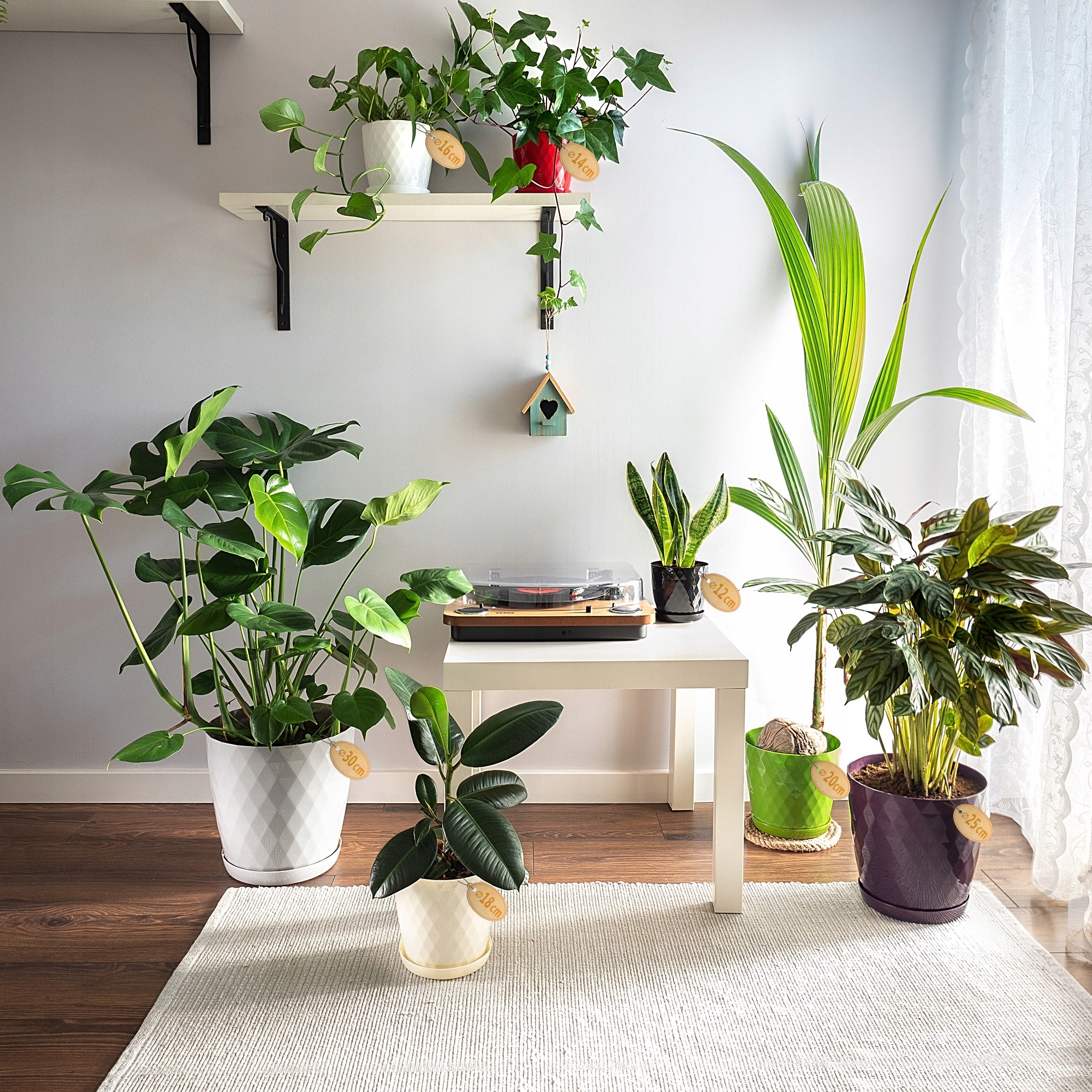 DONICZKA PLASTIKOWA Z PODSTAWKĄ DONICA OSŁONKA NA KWIATY 20cm BIAŁA KADAX Kolor biały