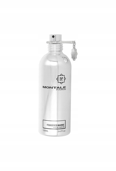 Montale Fougeres Marines Edp 100 ML