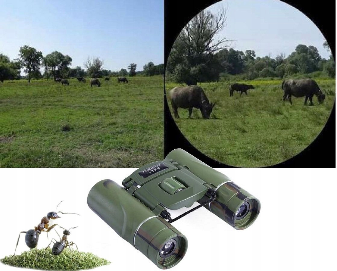 LORNETKA 8x21 DZIEŃ NOC SZKLANA OPTYKA TURYSTYCZNA KOMPAKTOWA DLA DZIECI Certyfikaty, opinie, atesty CE