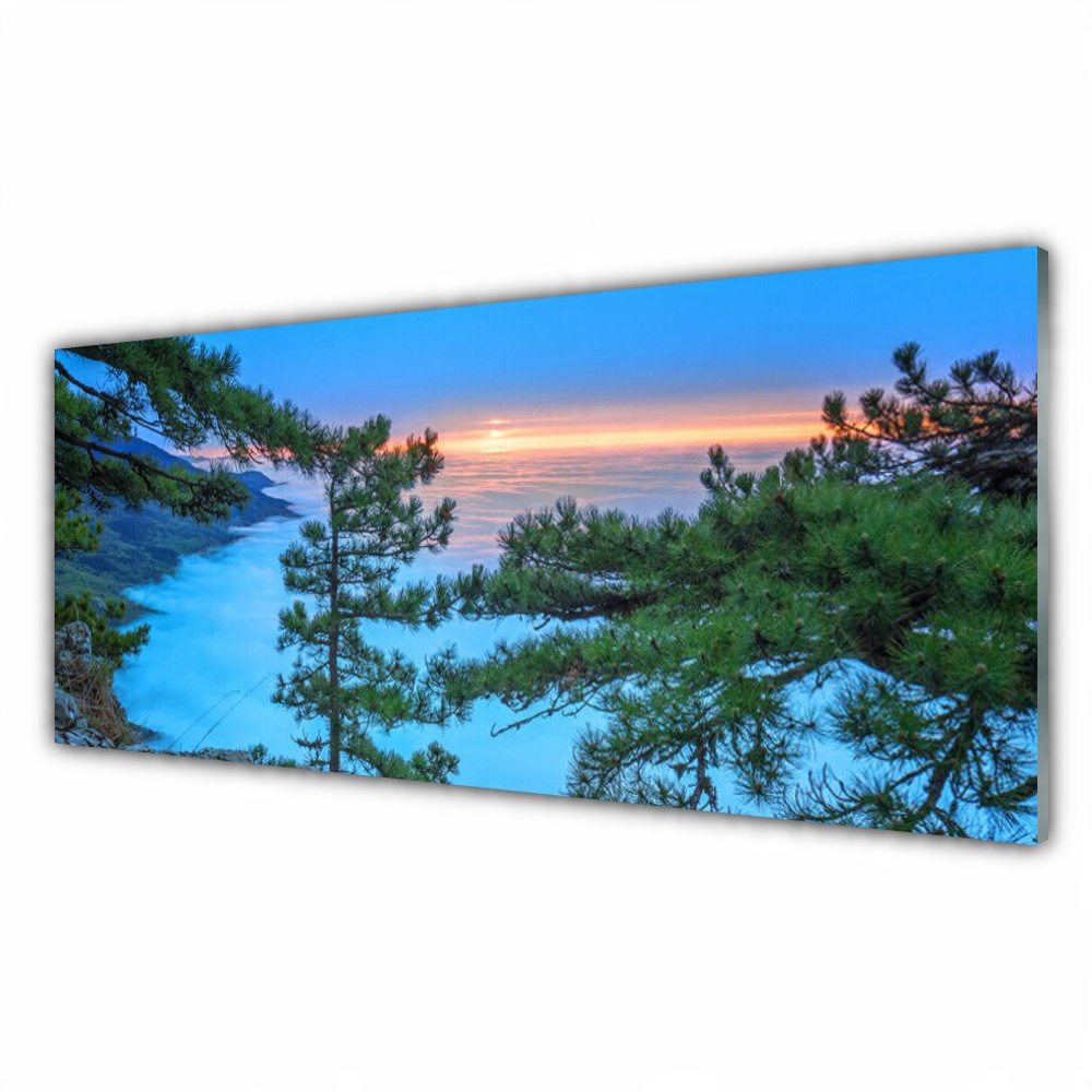 

Fotoobraz akryl z nadrukiem 125x50 Drzewa Natura