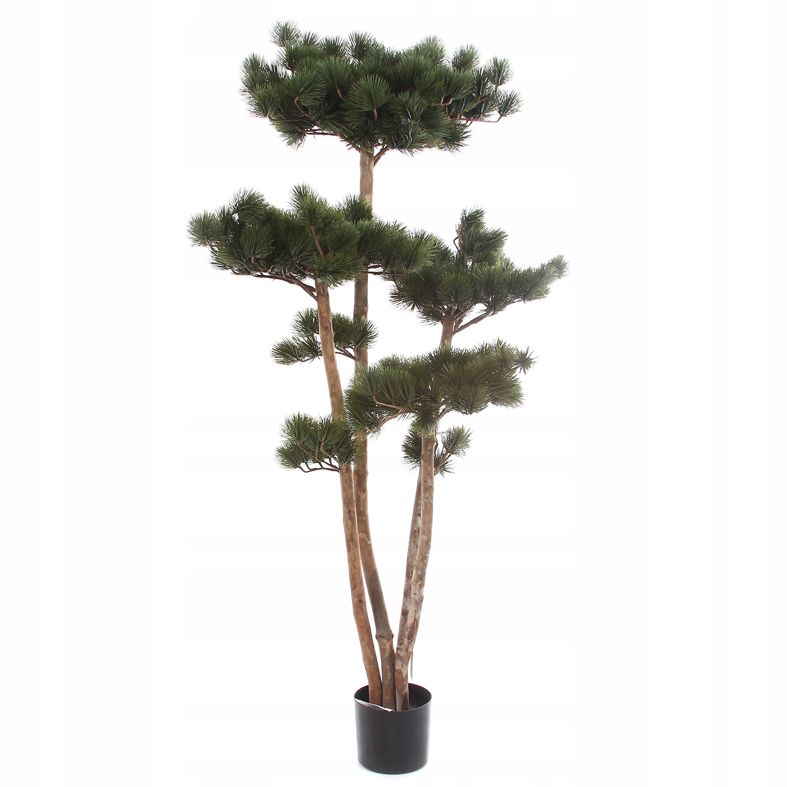 Duże Sztuczne Drzewko Bonsai Pinia 150 cm Jak Żywe Sosna Naturalny Pień