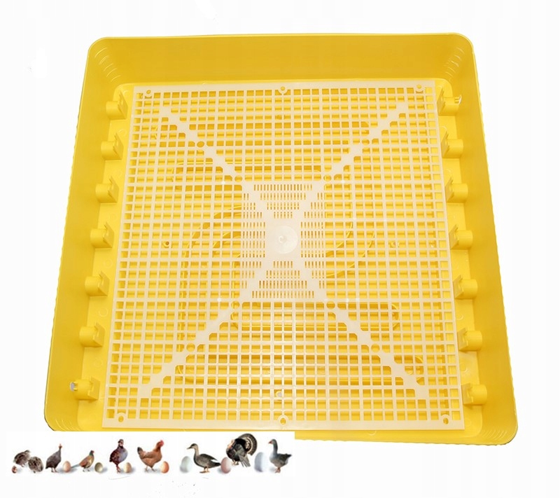 Inkubator klujnik do jaj z wyświetlaczem Rodzaj inkubator