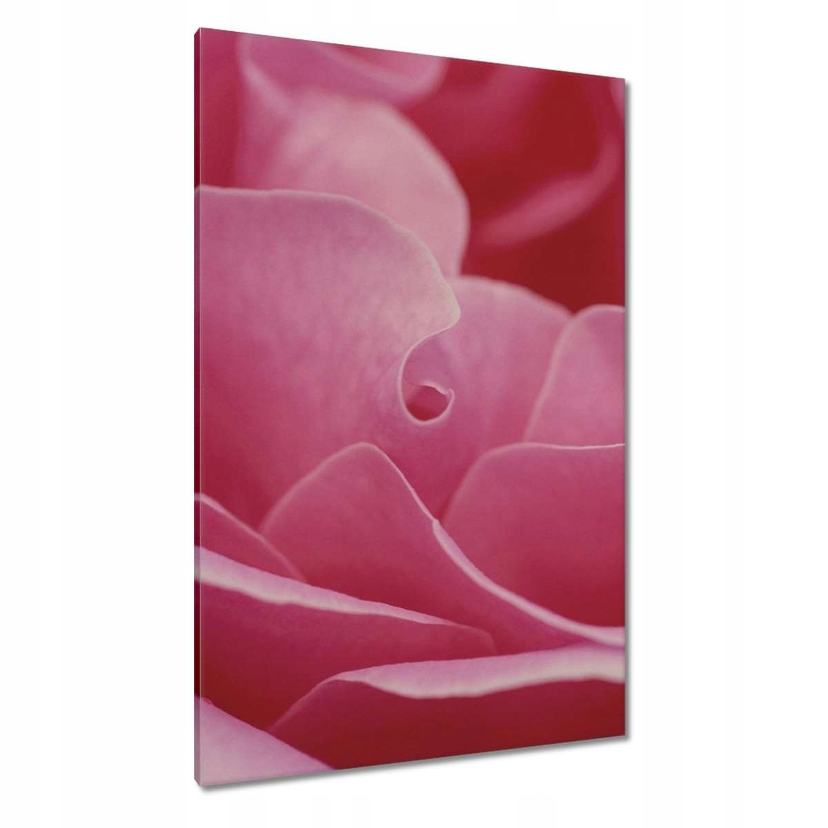 Obrazy 80x120 Den žen Dárek Láska