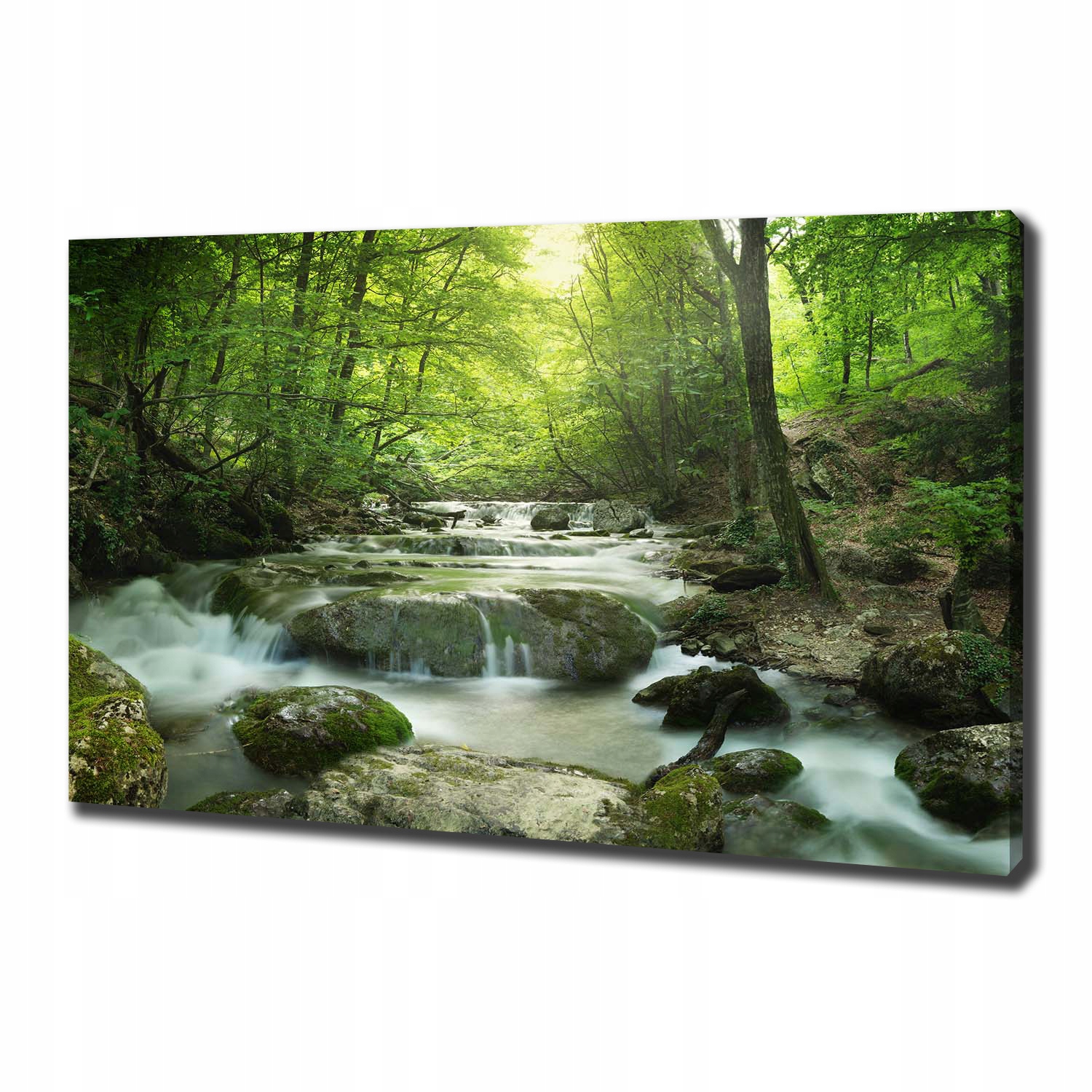

Foto obraz na płótnie Wodospad w lesie 100x70 cm