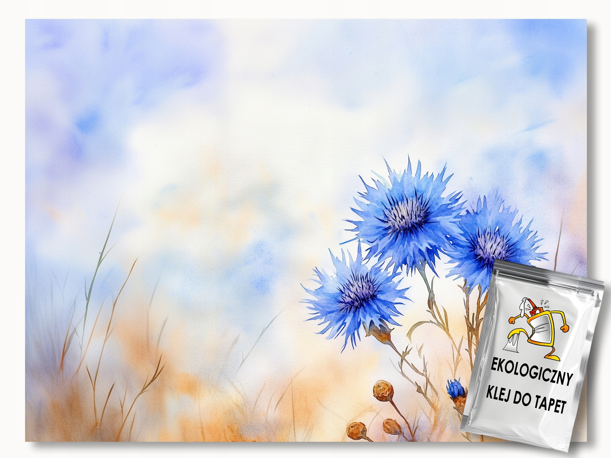 Fototapeta Flizelina Akvarel Příroda Pole Louka Květiny Chrpy 312x219 lepidlo