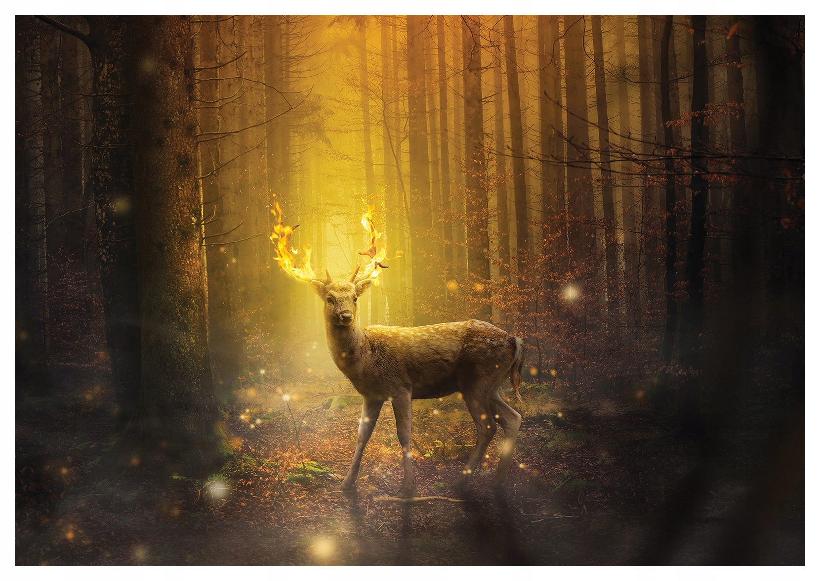 Tapeta Jelen v lese fantazie 368x254 Svítící magický mýtický lepidlo