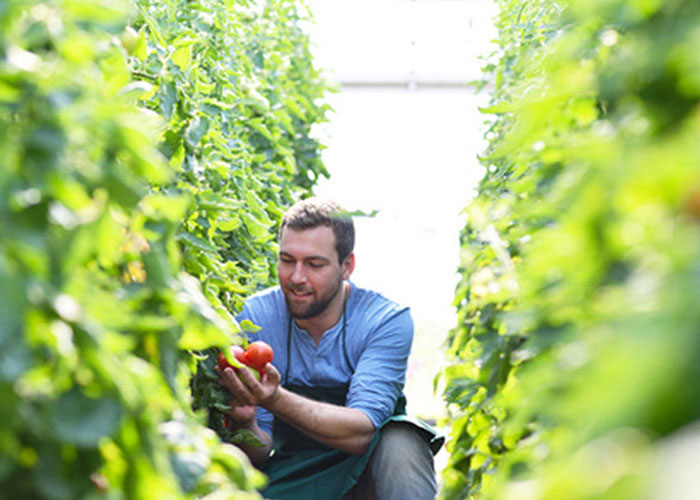 Alkalin PK 10:20 1l Nawóz fosforowo-potasowy Kod producenta UZUPEŁNIA NIEDOBÓR NIEDOBORY