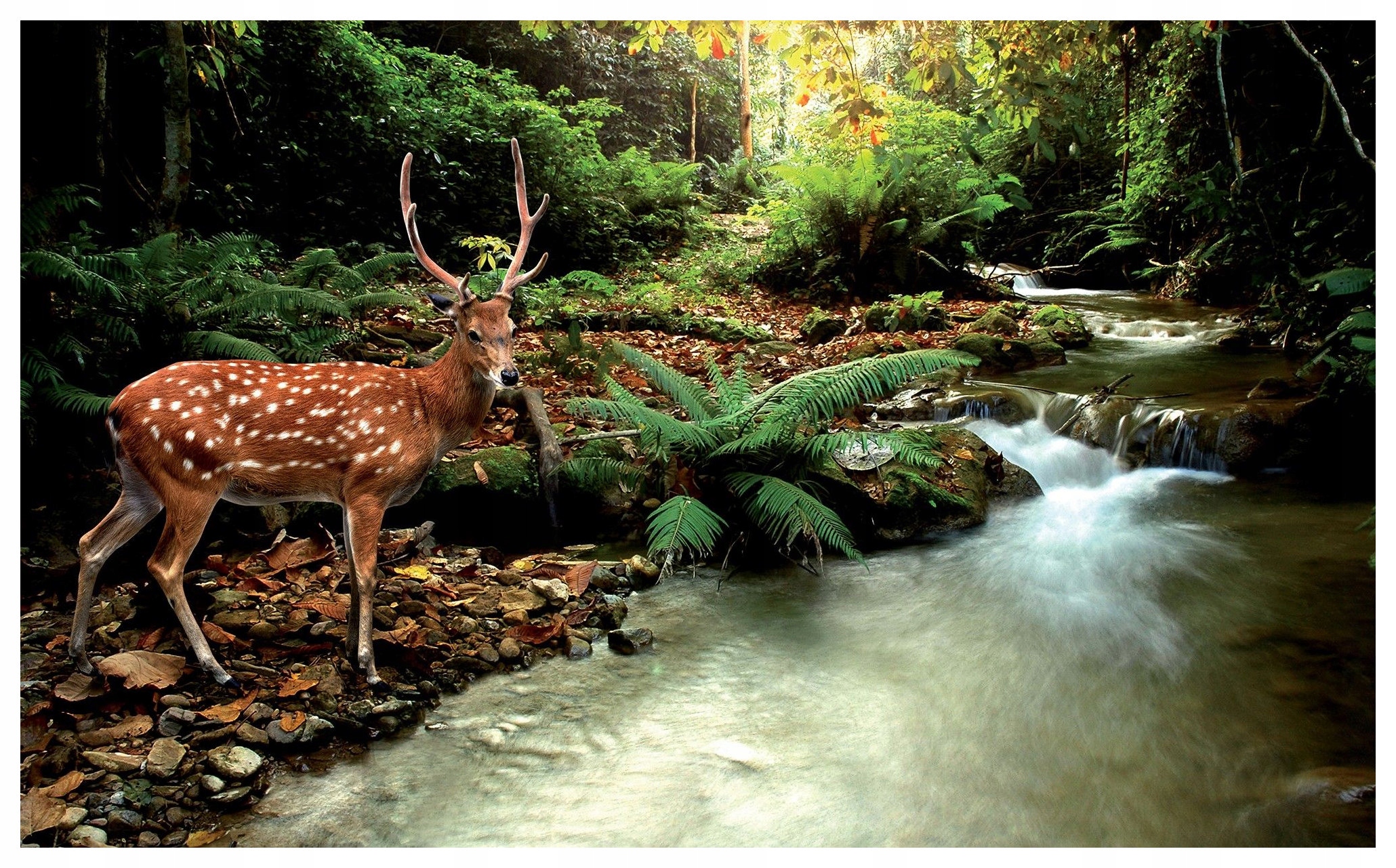 Fototapeta Jelen les vodopád potok slunce Zelený ráj 416x254 lepidlo