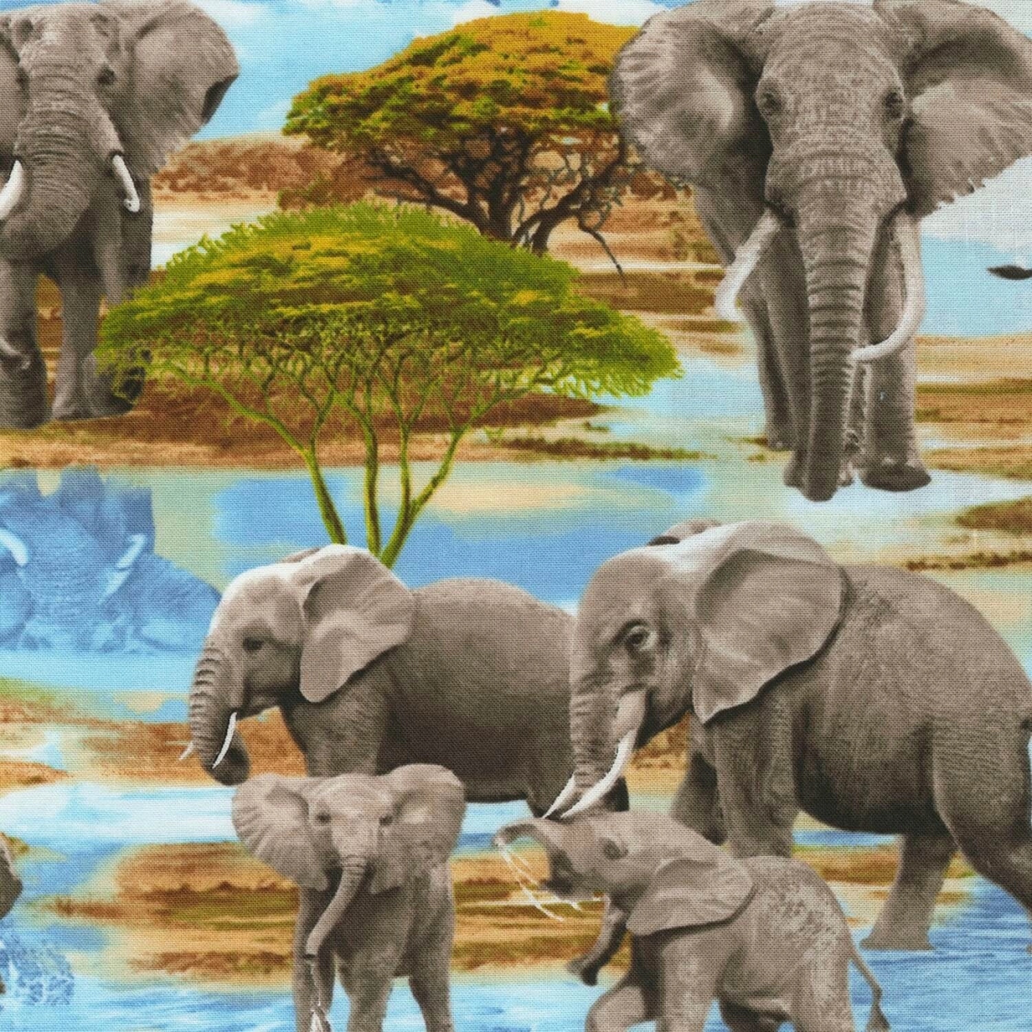 Tkanina bawełniana Water Elephants Scenic 10 cm