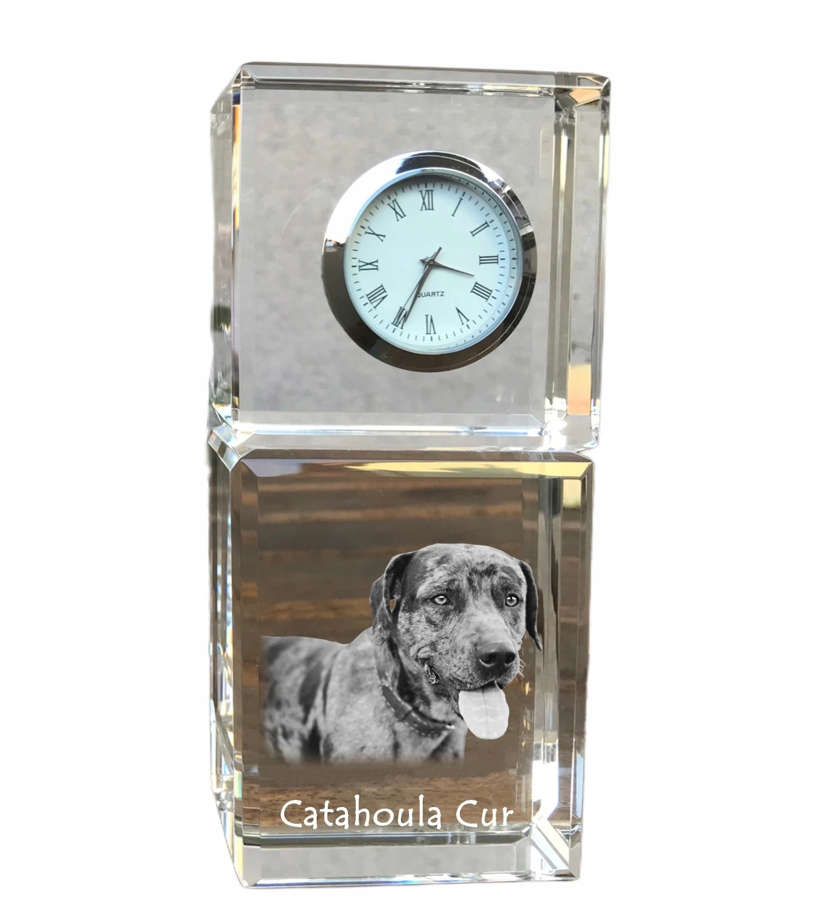 Catahoula Leopard Dog krištáľový stolový hodinový stroj so psom, s vašou fotografiou