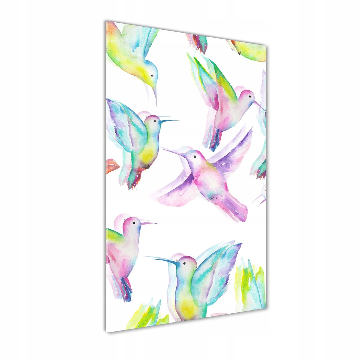 

Foto obraz szkło akrylowe Kolorowe kolibry 60x120
