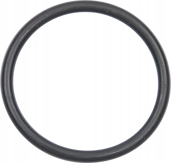 Uszczelka 1001464M1 Kramp