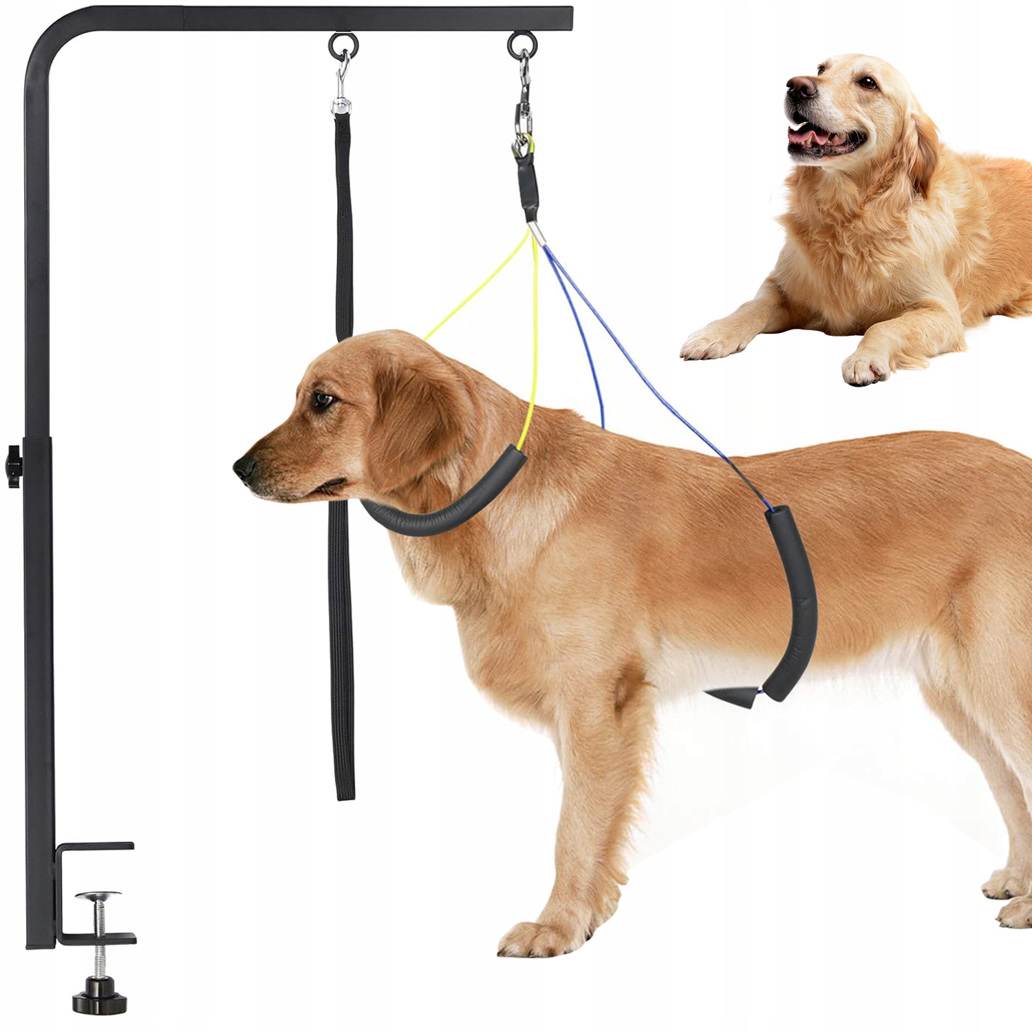 Levně Držák Pro Péči O Zvířata S Nastavitelnou Výškou Pro Stříhání Psa Ocel