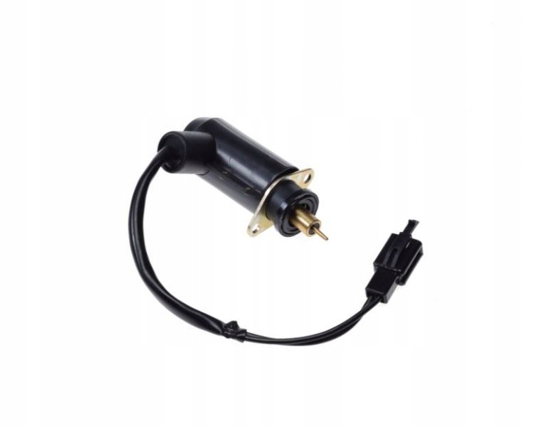 ELEKTROZAWÓR SSANIA