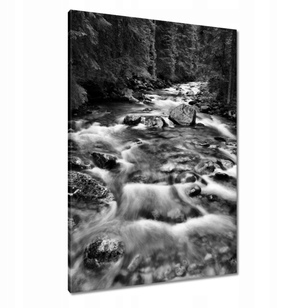 Obrazy 70x100 Tatry Polské hory Pohled