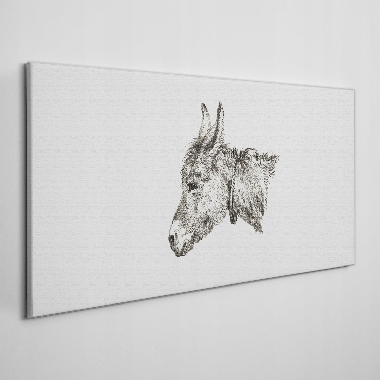 

Foto-obraz na ramie płótno Zwierzę osioł 100x50 cm