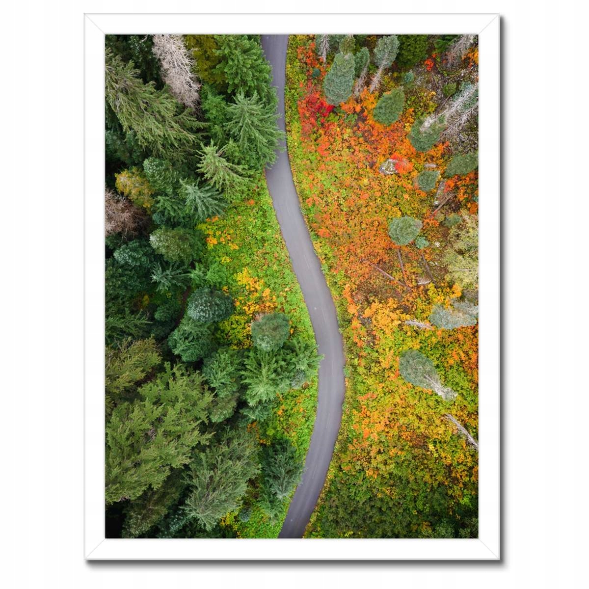 Plakáty v rámu 30x40 Cesta Les Podzim