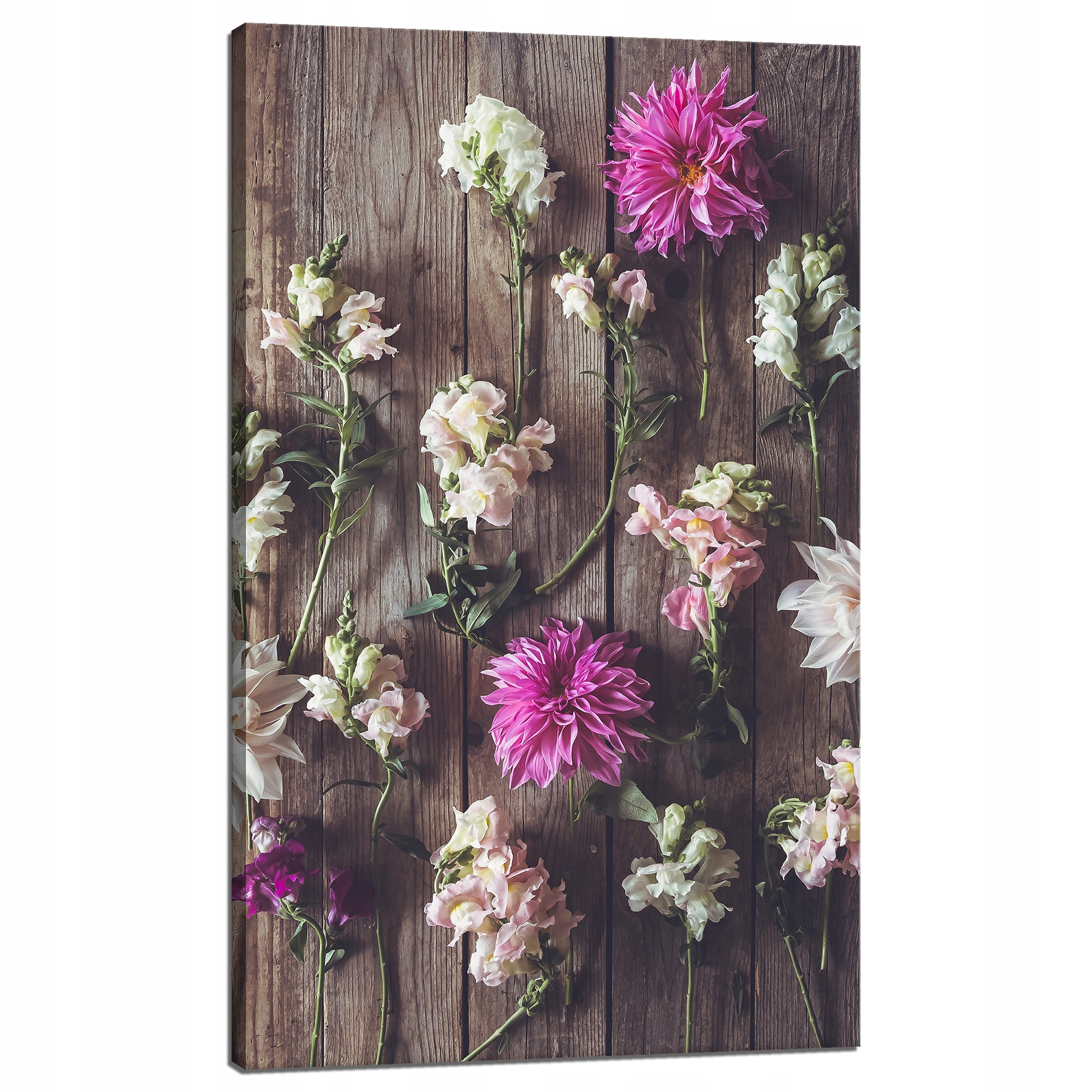 Obraz na plátně Květiny Příroda Rostliny Konvalinka 60x100