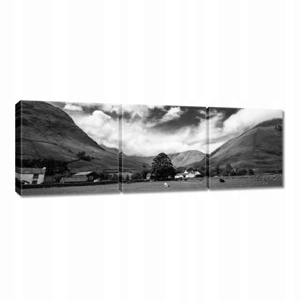 

Obrazy 60x20 Owce na łące