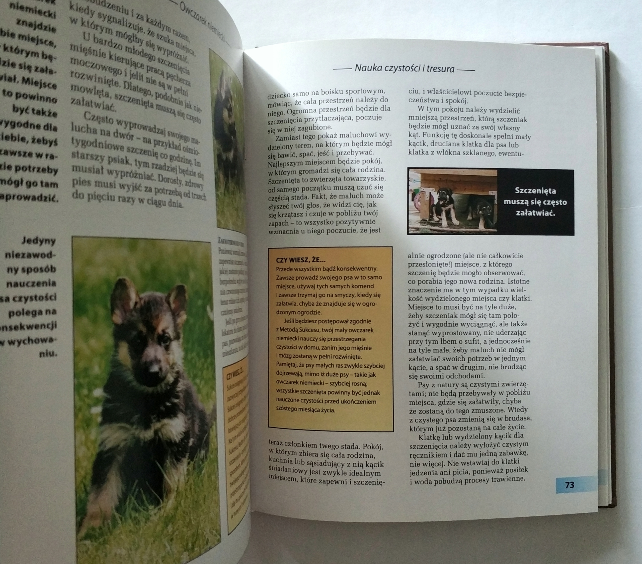 OWCZAREK NIEMIECKI, SUSAN SAMMS, UNIKAT Rok wydania 2007