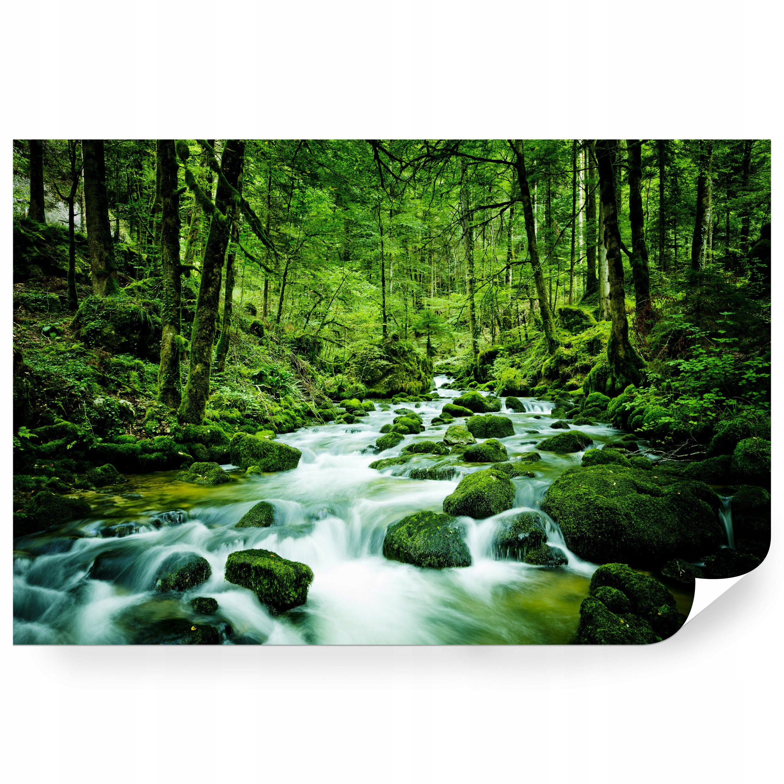 Fototapeta samolepicí Krystalický Horský Potok V Lese 450 x 300 cm
