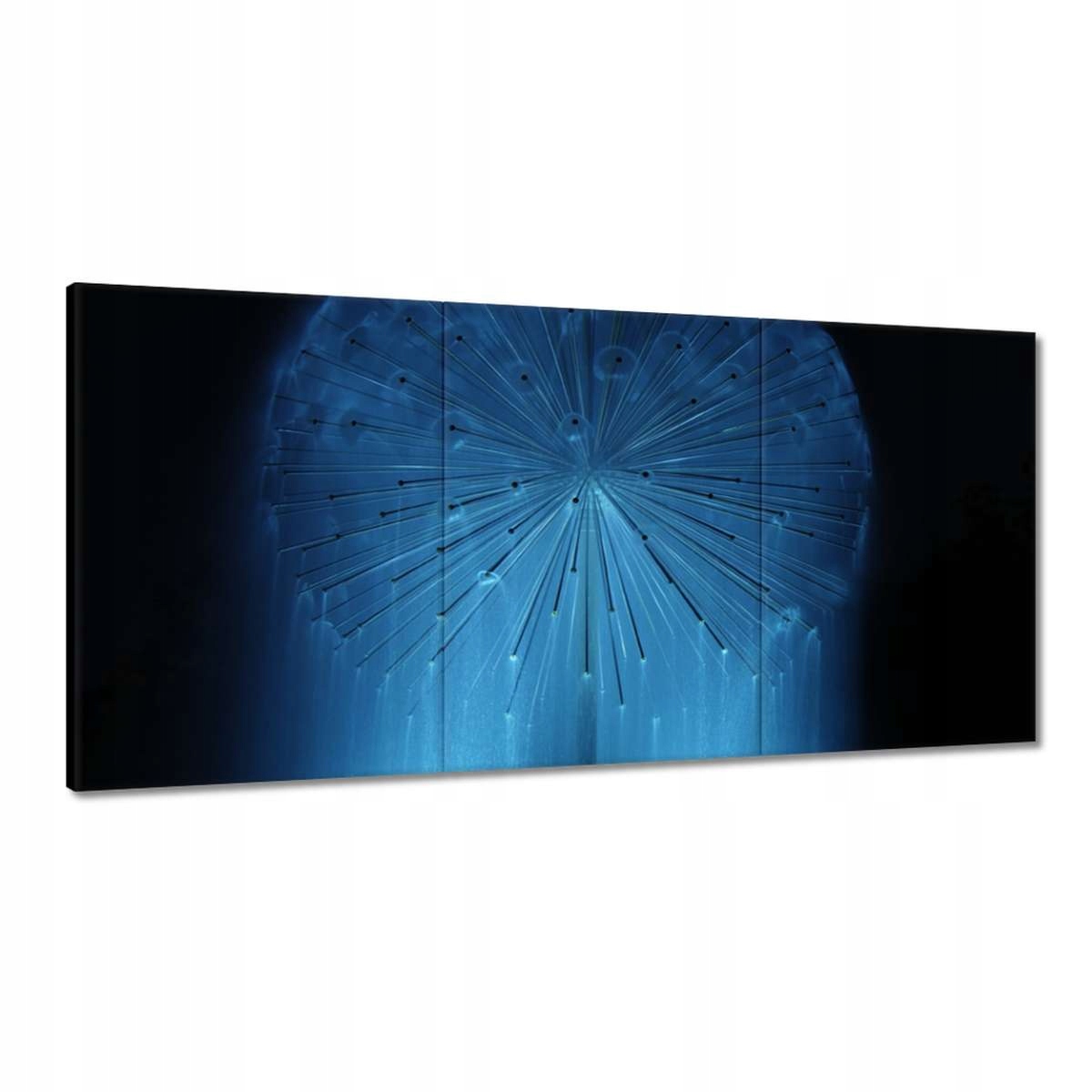 Obrazy 180x90 Púpava Kvet Kvety