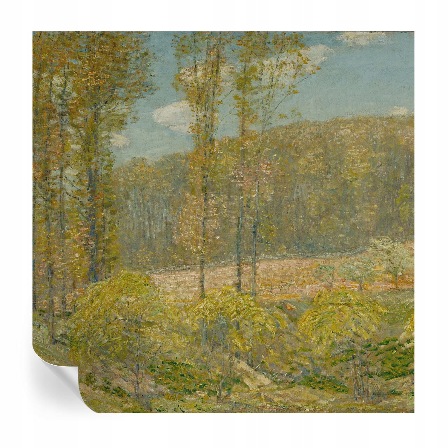 Samolepicí fototapeta na zeď do ložnice Lesní krajina 250x250 cm