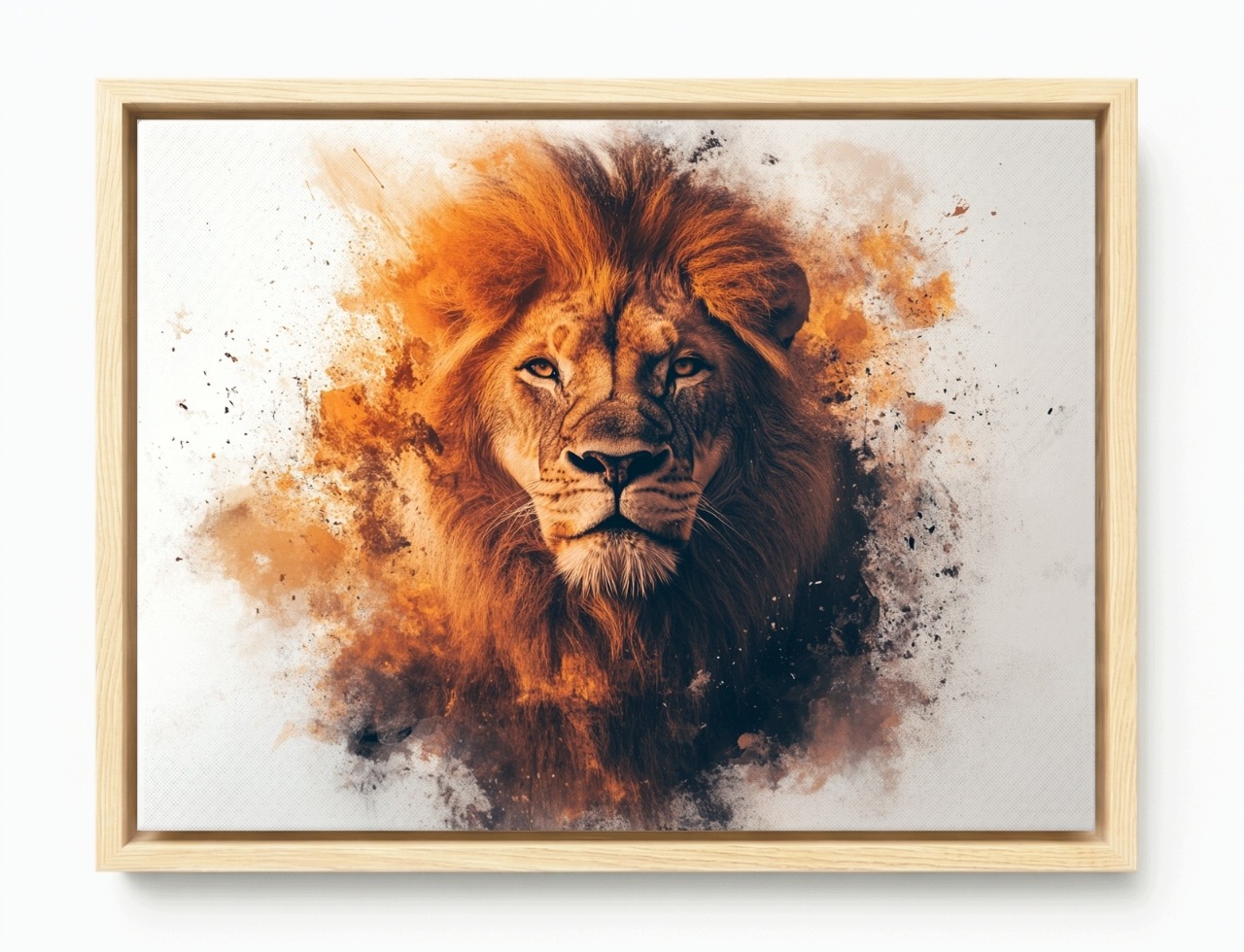 Obraz Rám American Box Portrét Grafika Zviera Lev Fauna Afrika 80x60