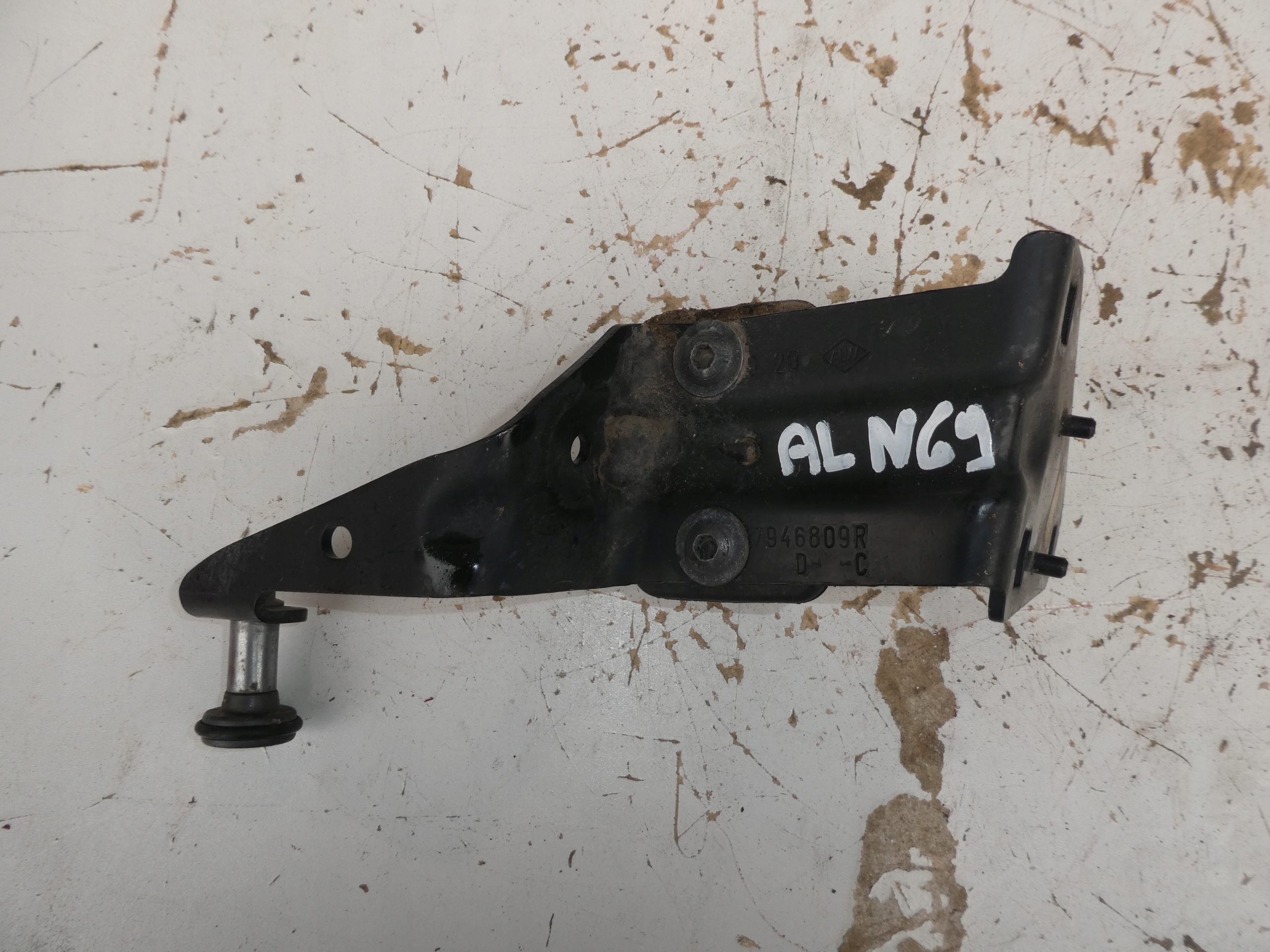 RENALUT MASTER III subframe door BOCZNYCH 7946809R