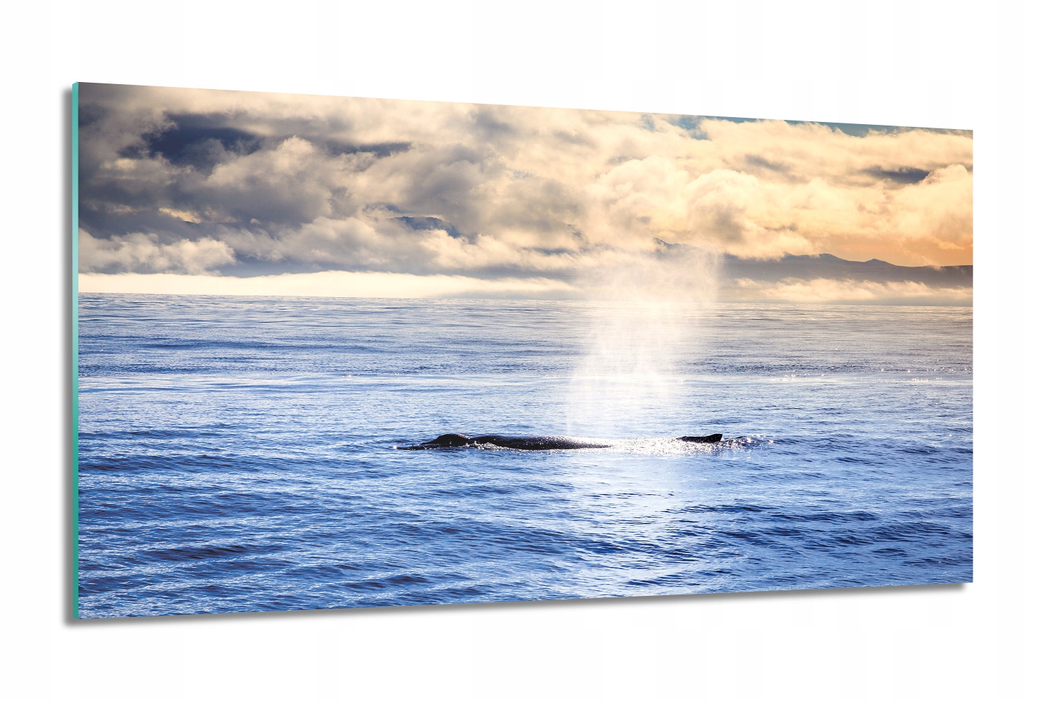 Velryba oceán nebe Foto skleněná grafika 100x60