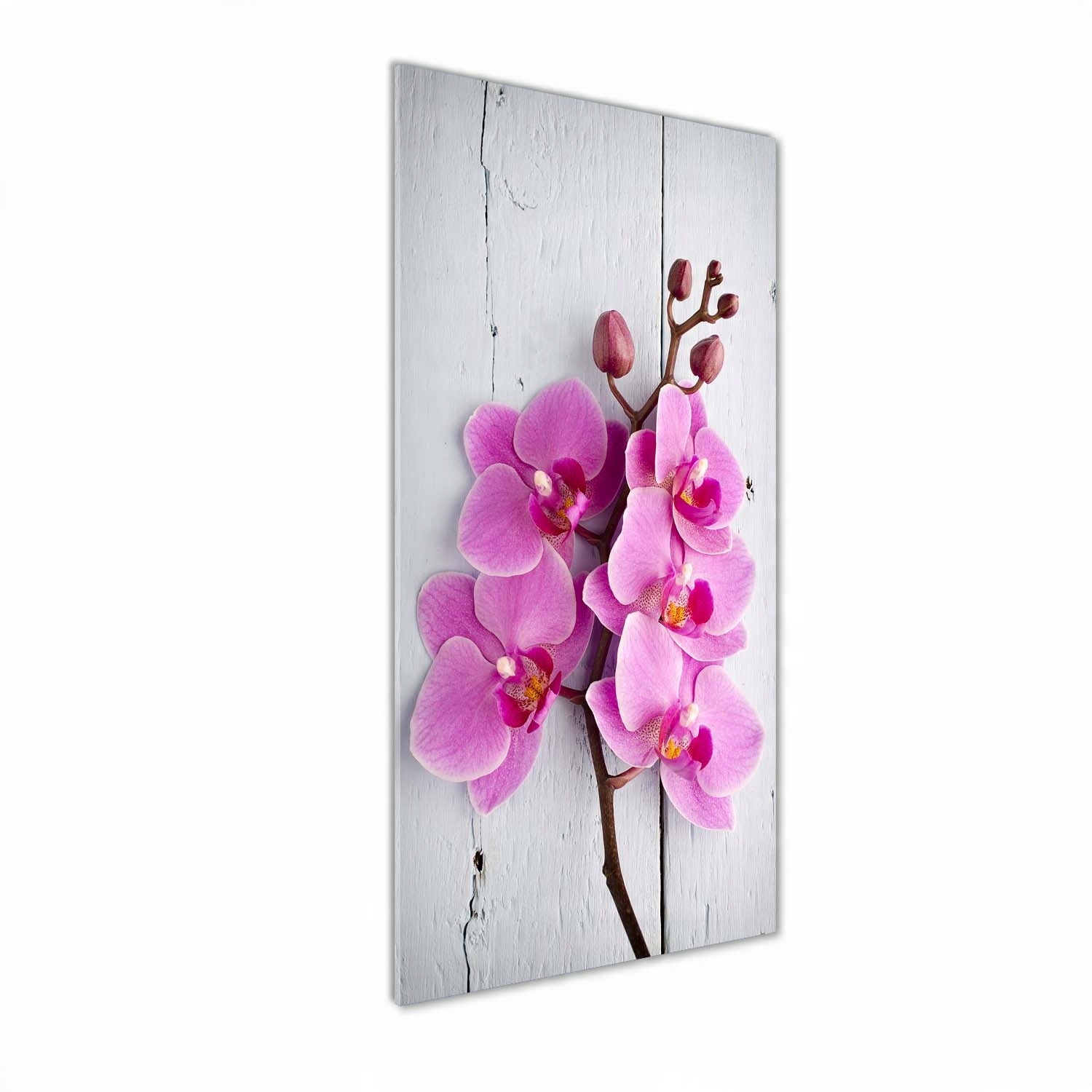 

Foto obraz szkło akrylowe Różowa orchidea 50x125cm