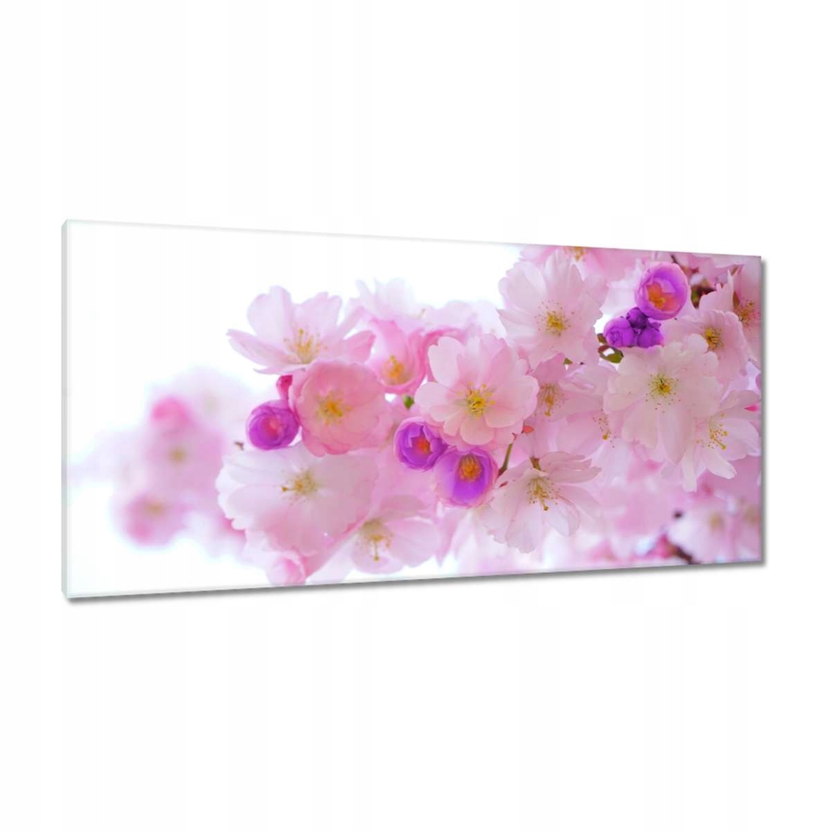 Obrazy 115x55 Větvička japonské třešně