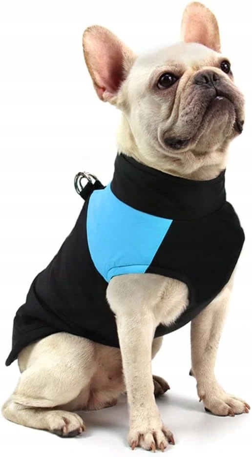 Levně Zimní vesta modrá, 4XL