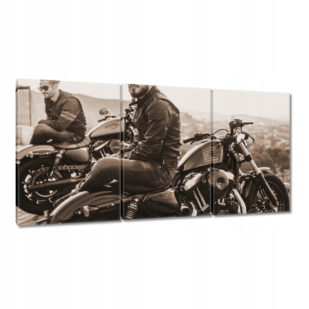 

Obrazy 120x60 Harley Davidson Motocykl