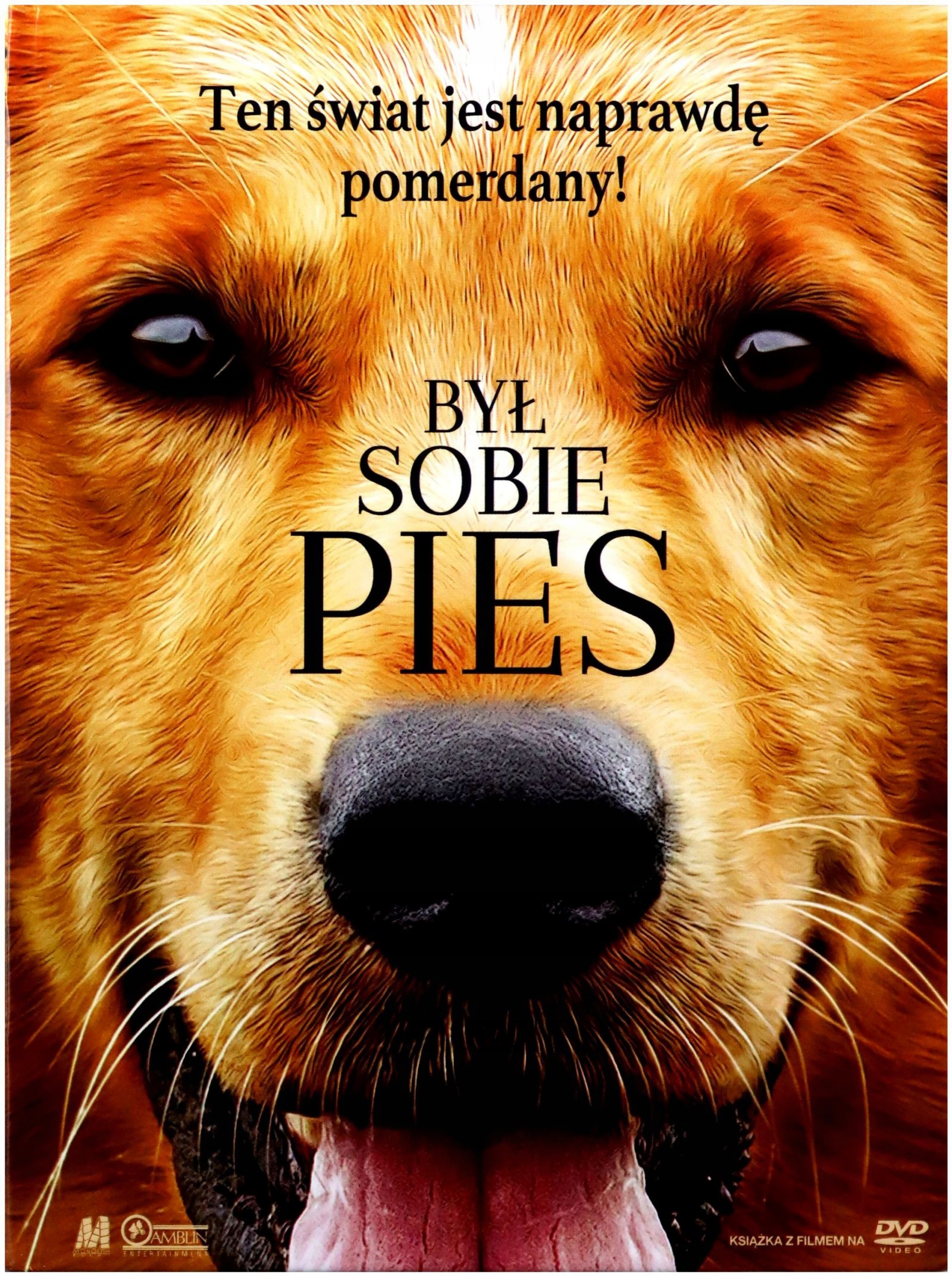 

Był Sobie Pies (DVD)