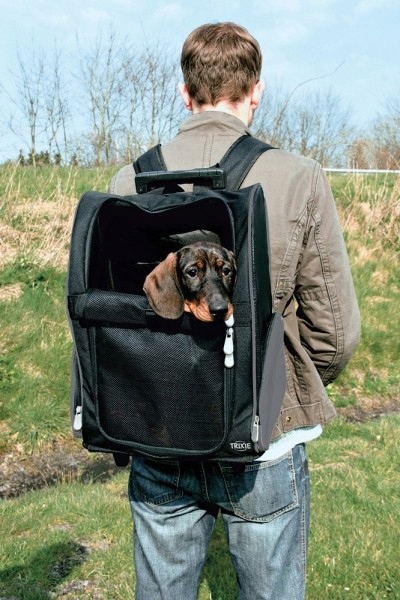 

Torba Nylon Czarna Na Kółkach 36X50X27