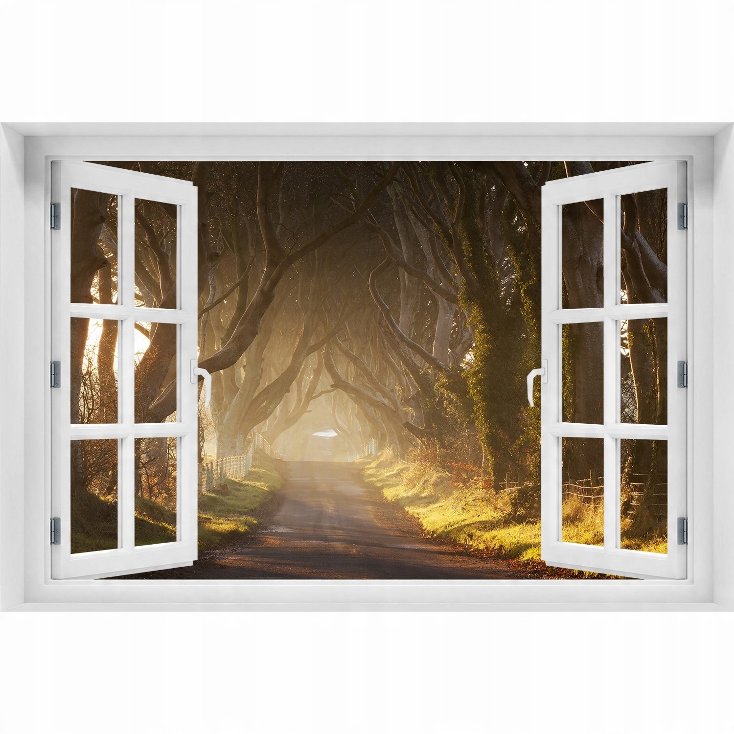 

Naklejka fototapeta 3D Okno Mgła w lesie 150x100