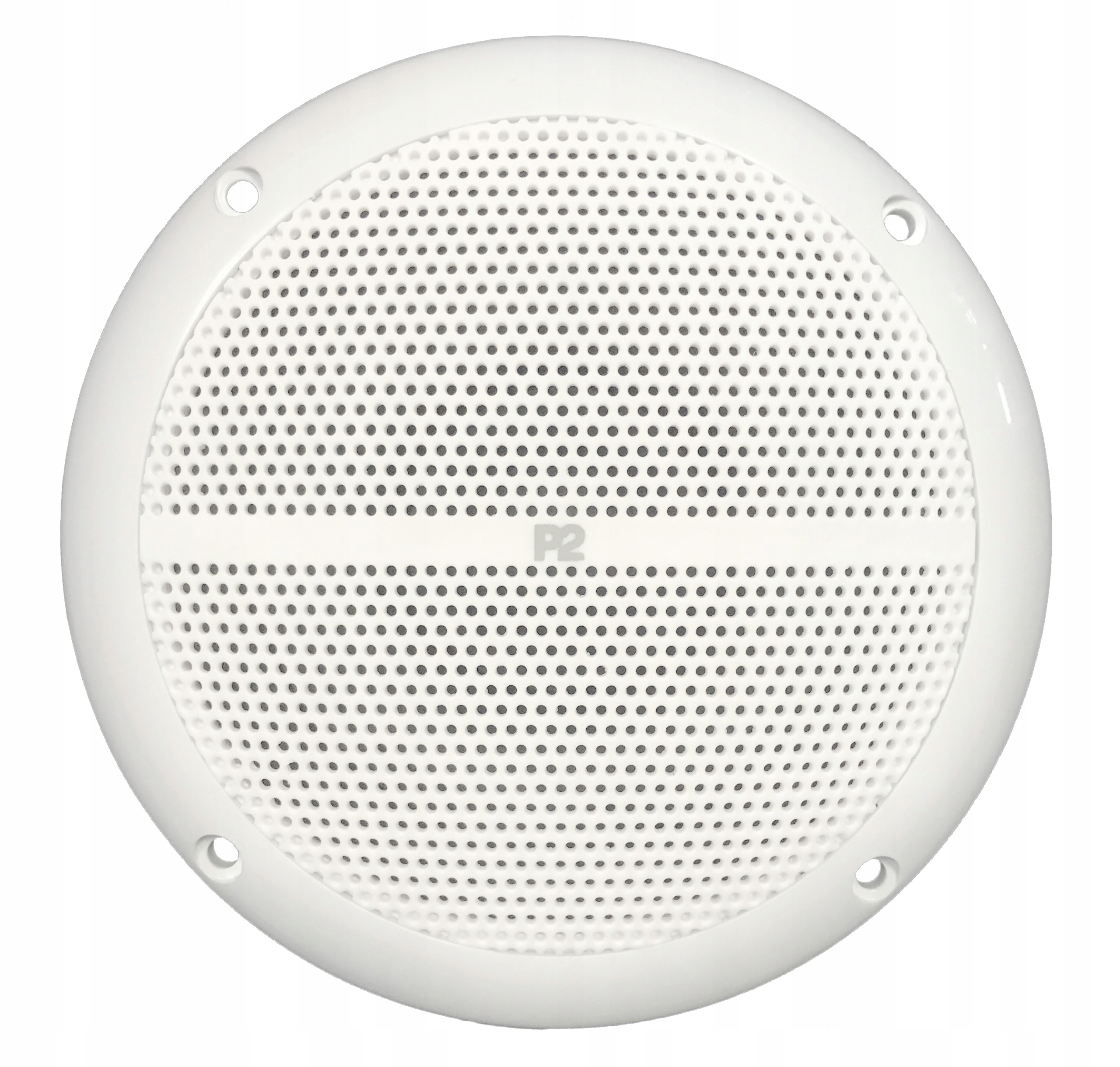 P2 RP 61 - Głośnik wodoodporny szerokopasmowy 25 W / 4 ohm