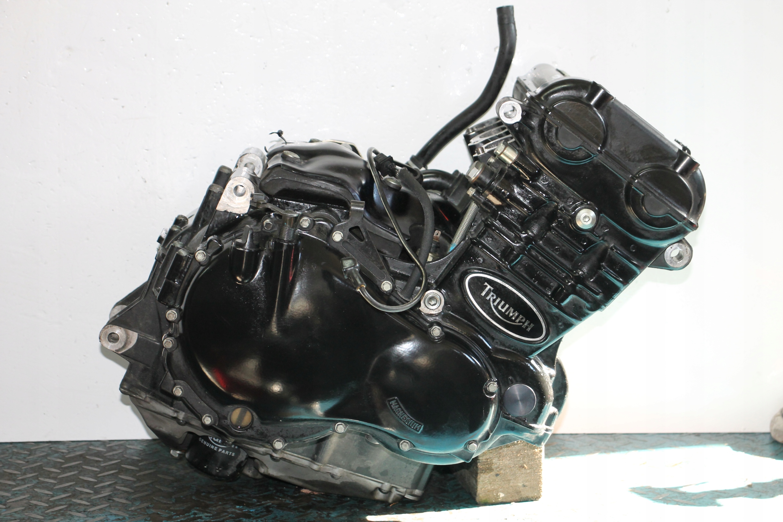 99 - TRIUMPH Tiger 955i 01-06 двигун