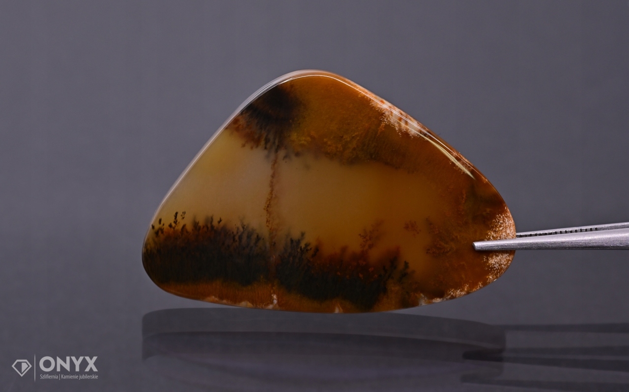 Dendritový achát z Kazachstánu nepravidelná destička