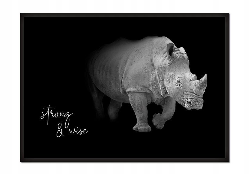 

Obraz Plakat W Ramie 53x73 cm Zwierzeta P623