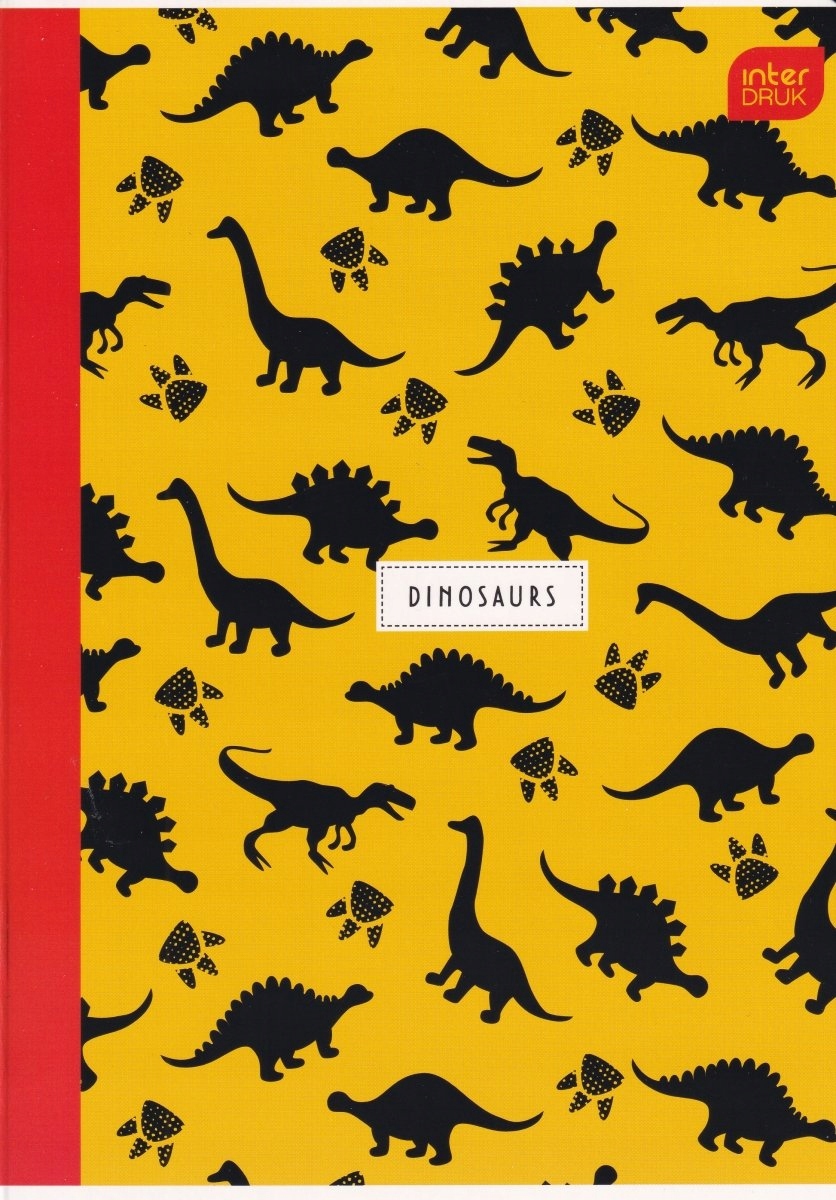 

Interdruk Zeszyt A5/16 kratka dla chłopaka 5998