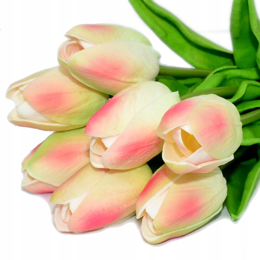 

Tulipany Bukiet Tulipanów Gumowane Gumowe Jak Żywe