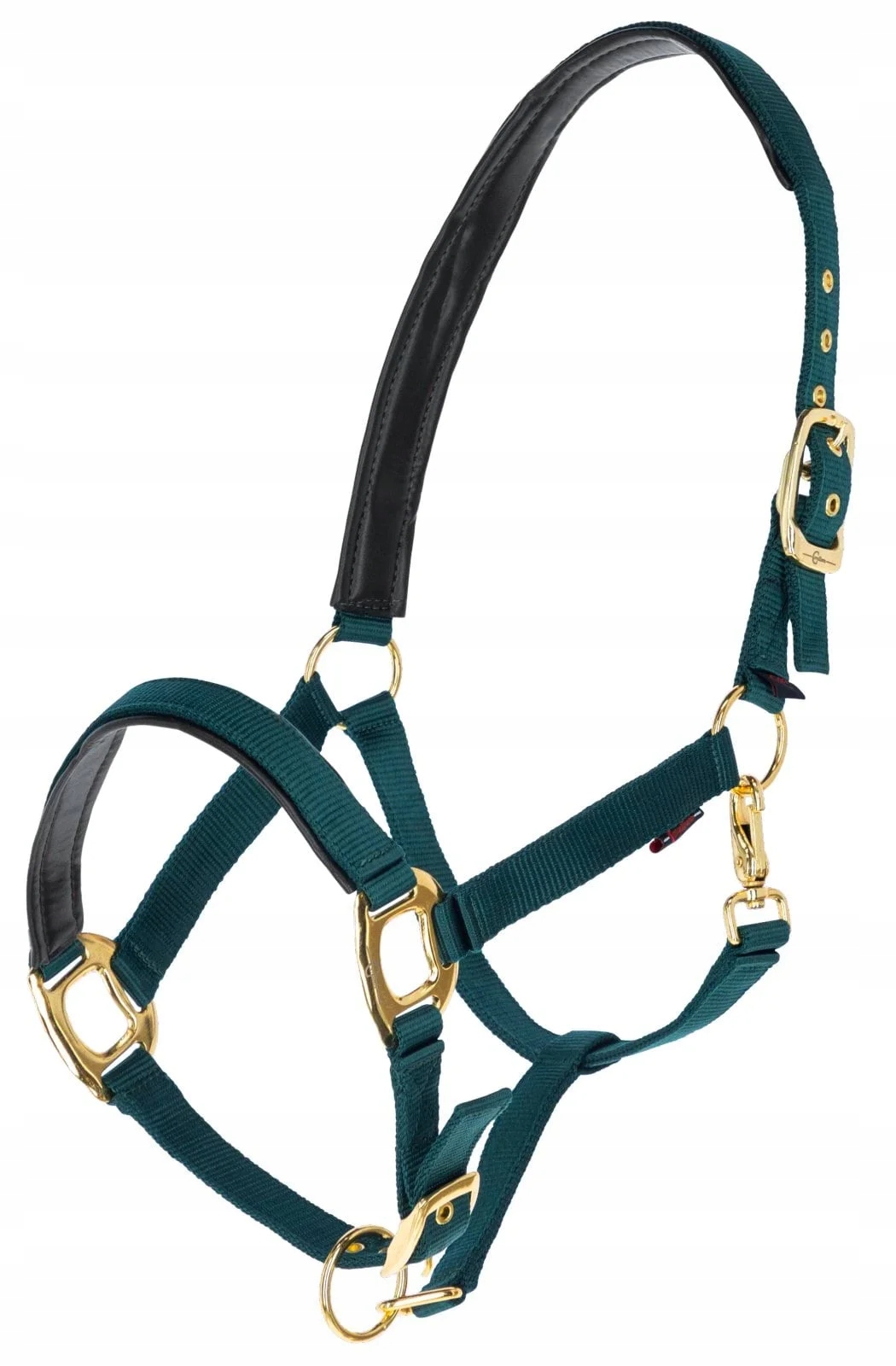 Kantar miękko podszywany dla konia Covalliero TopLine zielony Cob