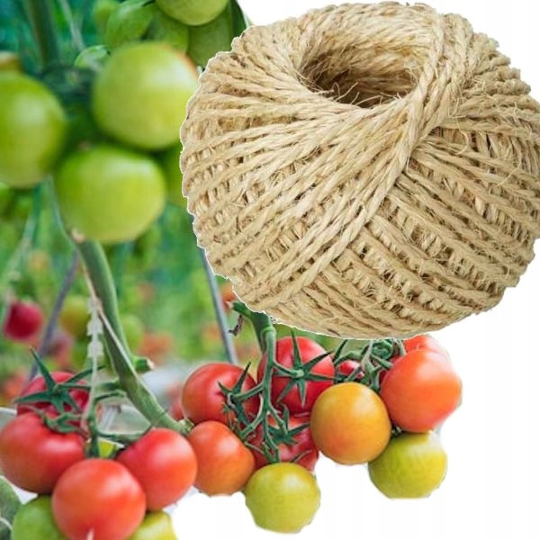 TUNEL OGRODOWY FOLIOWY OGRODNICZY NA WARZYWA POMIDORY SZKLARNIA 2,5 X 4 M Powierzchnia 10 m²