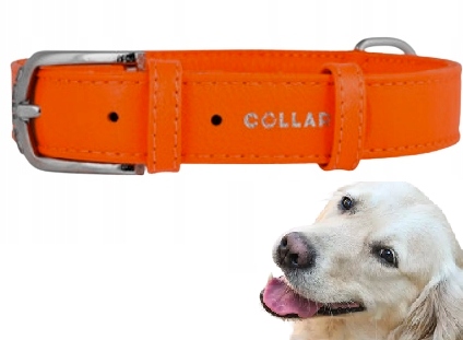 Obojek Pro Psa Z Kůže Waudog Collar 15 MM 27-36 CM Oranžový, Silný