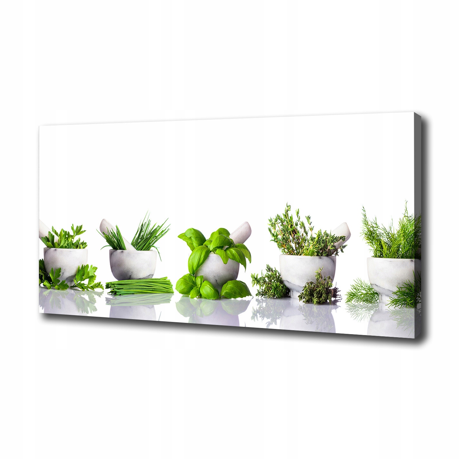 

Foto obraz ze zdjęcia do salonu Zioła 100x50 cm